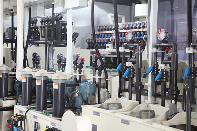 電鍍自動(dòng)線 電鍍自動(dòng)線